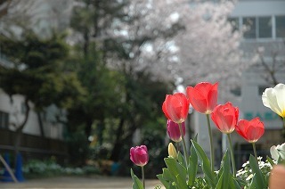 20150420 077.jpg