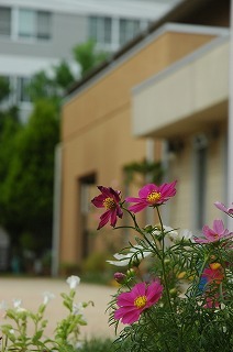 20151009 170.jpg