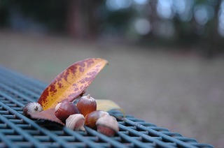 20171125 095.jpg