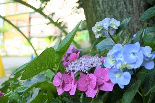 DSC_0876 (2).jpg