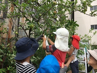 IMG_0483.jpg