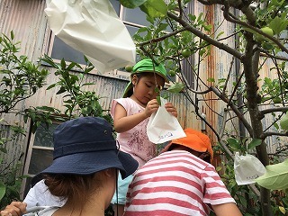 IMG_0495.jpg