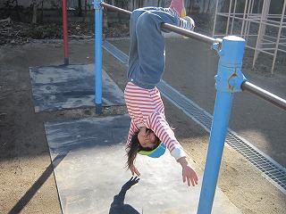 IMG_1013.jpg