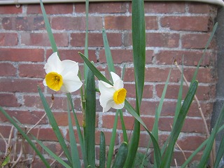 IMG_1238.jpg