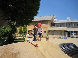 IMG_3375.jpg