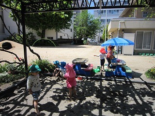 IMG_3377.jpg