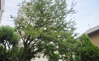 IMG_5251.jpg