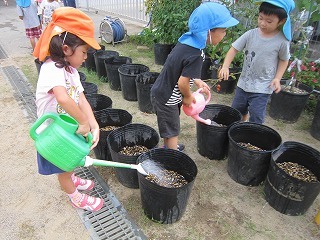 IMG_5284.jpg