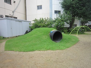 IMG_6189.jpg