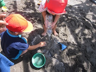 IMG_6368.jpg