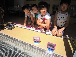 IMG_6373.jpg