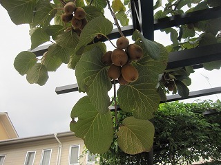 IMG_6388.jpg