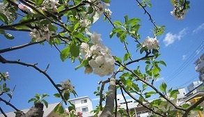 IMG_7398 1.jpg