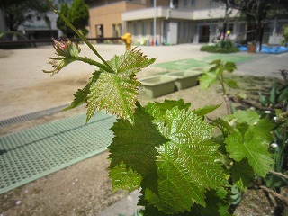 IMG_7402.jpg