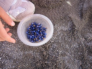 IMG_7825.jpg